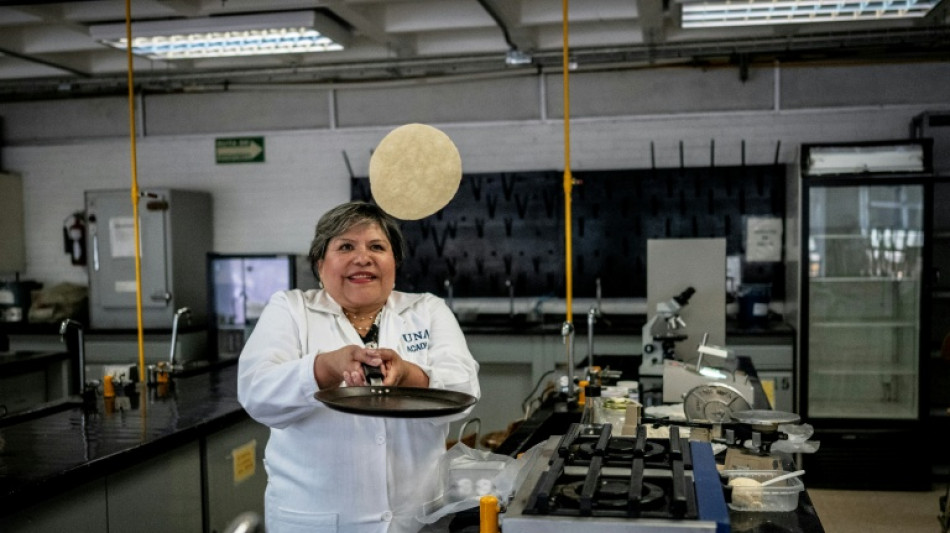 Desarrollan en M&eacute;xico una tortilla contra la desnutrici&oacute;n y la falta de neveras