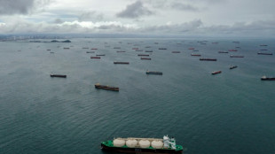 El presidente de Panam&aacute; resta importancia a las restricciones de tr&aacute;nsito por el Canal