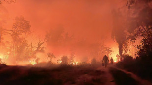França enviará 100 bombeiros à Bolívia para combater incêndios florestais