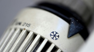 Vergleichsportale: Zur&uuml;ckliegender Heizwinter war der teuerste aller Zeiten