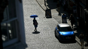 Le changement climatique, coupable "sans &eacute;quivoque" de l'intense canicule en Europe