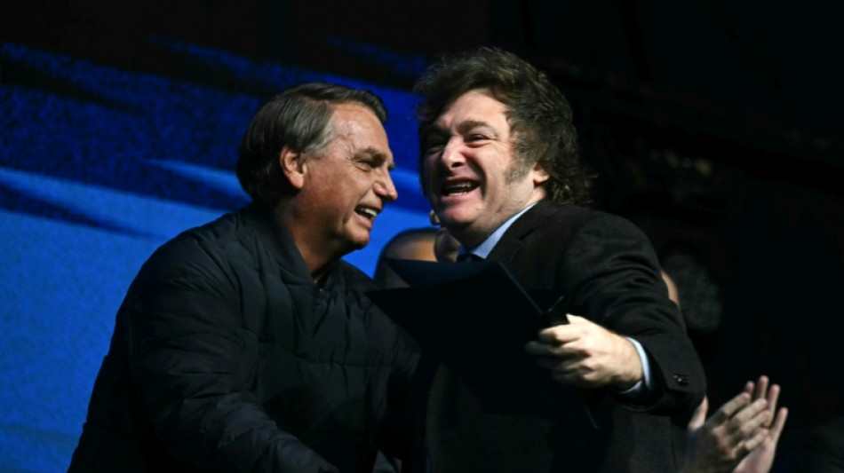  Brazil high court says Argentina's Milei cannot visit Bolsonaro 