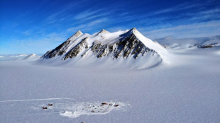 La Antártida registró una temperatura de 30°C encima de lo normal