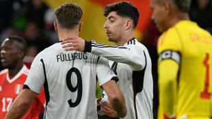 F&uuml;llkrug sichert Havertz "maximale Unterst&uuml;tzung" zu