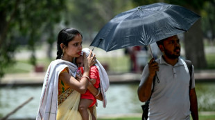 Indische Wetterbeh&ouml;rde: Temperaturrekord in Neu Delhi k&ouml;nnte auf Messfehler beruhen