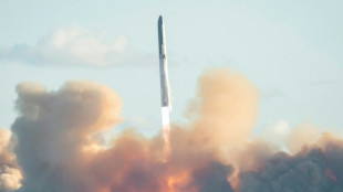 SpaceX launches Starship megarocket on successful test flight