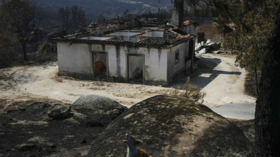 Portugal: un feu de forêt a ravagé une surface record de 64.000 hectares