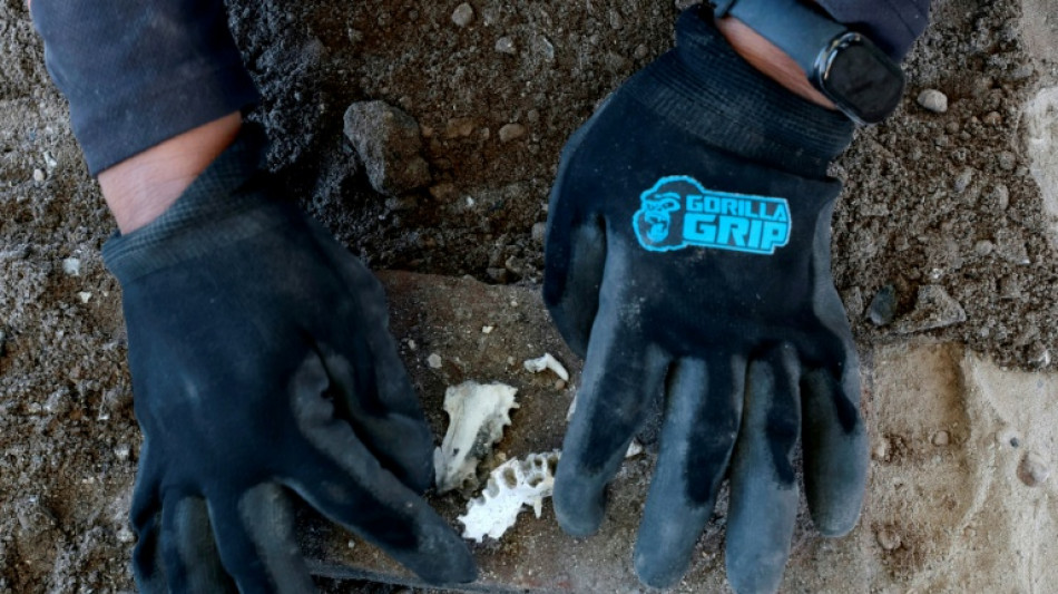 Mexican cartel gunmen sentenced to 141 years in prison