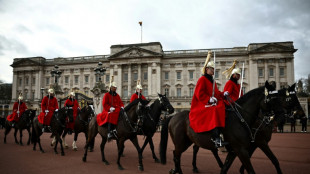 Cuatro heridos por caballos del ejército que se escaparon en el centro de Londres
