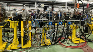 La f&iacute;sica de part&iacute;culas ampl&iacute;a las fronteras de los tratamientos contra el c&aacute;ncer