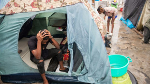 IOM chief urges world to step up aid for Haiti