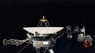 La sonde Voyager 1 transmet de nouveau ses données pour la première fois depuis des mois