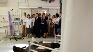 Chikungunya à La Réunion: le gouvernement encourage la vaccination de ceux qui le peuvent