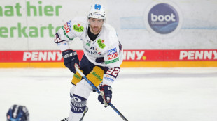 Matchball f&uuml;r Berlin: Eisb&auml;ren vor Finaleinzug