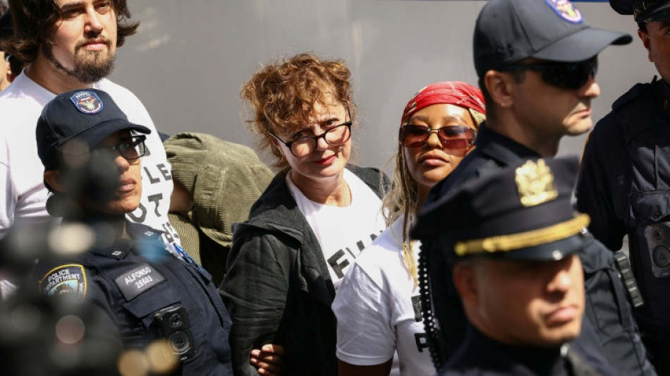  Hollywood-Star Susan Sarandon in New York bei israelkritischem Protest festgenommen 