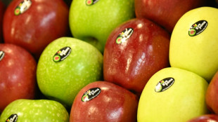 Obstbauern erwarten &uuml;berdurchschnittliche Apfelernte