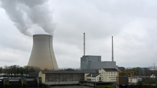 Greenpeace-Studie: Atomausstieg führt nicht zu höherem CO2-Ausstoß