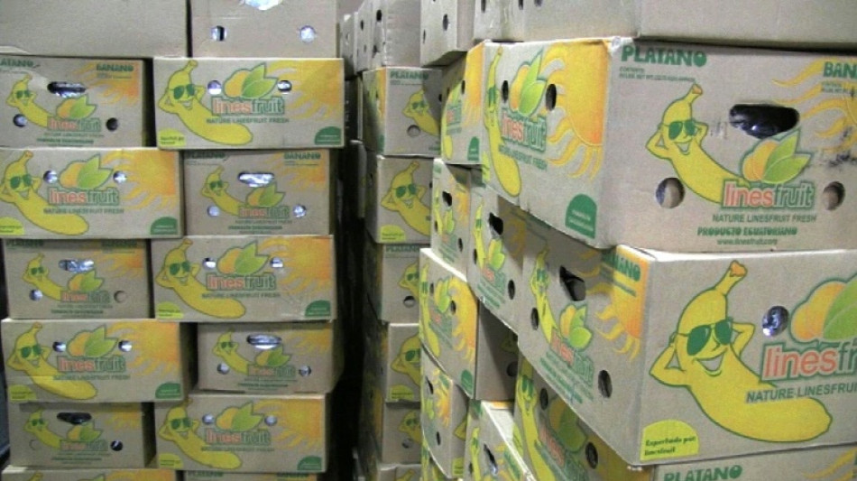 Belgischer Zoll ver&ouml;ffentlicht Zahlen zu beschlagnahmtem Kokain