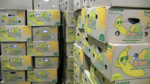 Belgischer Zoll ver&ouml;ffentlicht Zahlen zu beschlagnahmtem Kokain