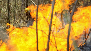 Venezuela: 12 arrestations pour des incendies de forêt