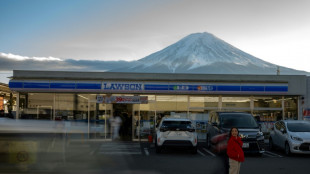 Pueblo japonés bloqueará una vista al monte Fuji ante los turistas molestos