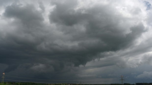Deutschland erlebt nassesten Fr&uuml;hling seit zehn Jahren