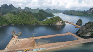 Scharfe Proteste gegen riesiges Bauprojekt in der Nähe von Vietnams Halong-Bucht