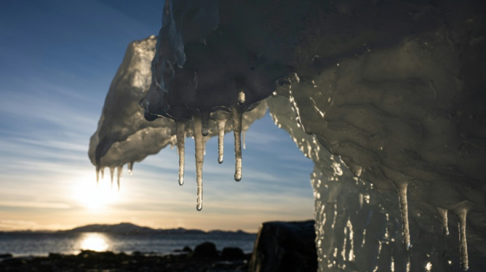 Meta considera "autodestructivo" que la UE ataque a las tecnol&oacute;gicas de EEUU por Groenlandia