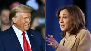 Harris ou Trump, l'Am&eacute;rique &agrave; l'aube d'un choix historique