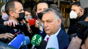 Pese a críticas, el primer ministro húngaro muestra su cercanía con Putin