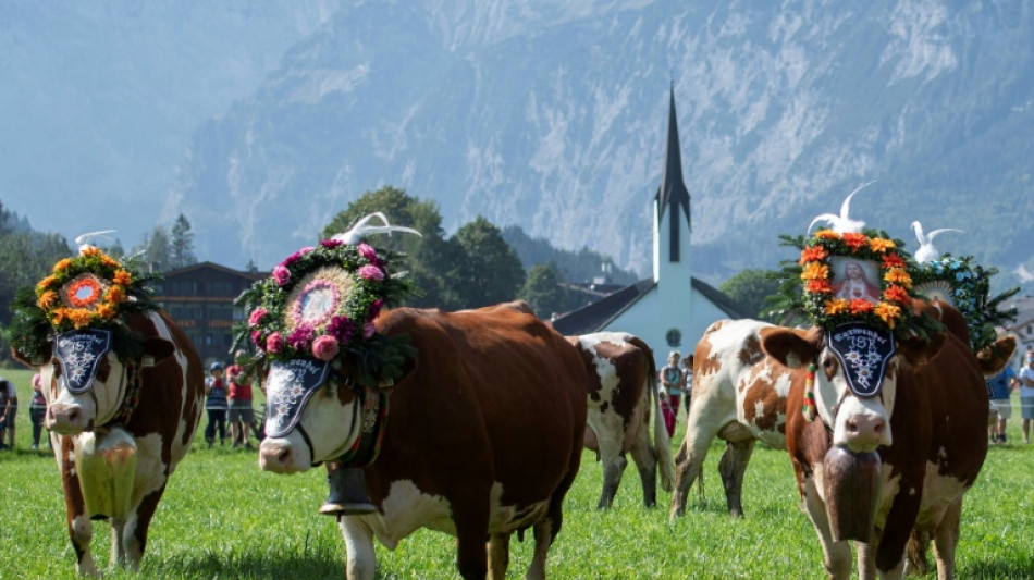 Tiroler Bauern wütend über Hafermilch trinkenden Krampus