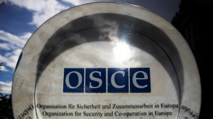 Lawrow-Einladung überschattet OSZE-Ministerrat in Nordmazedonien