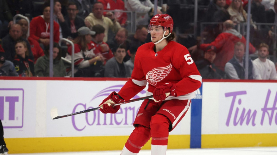 Seider trifft, Red Wings melden sich zur&uuml;ck