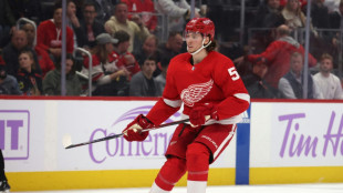 Seider trifft, Red Wings melden sich zur&uuml;ck