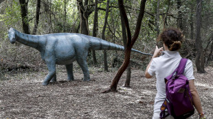 Scoperte migliaia di orme di dinosauri nel Parco dello Stelvio