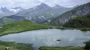 Dauphin&eacute;: Pogacar auf und davon - Lipowitz erneut stark