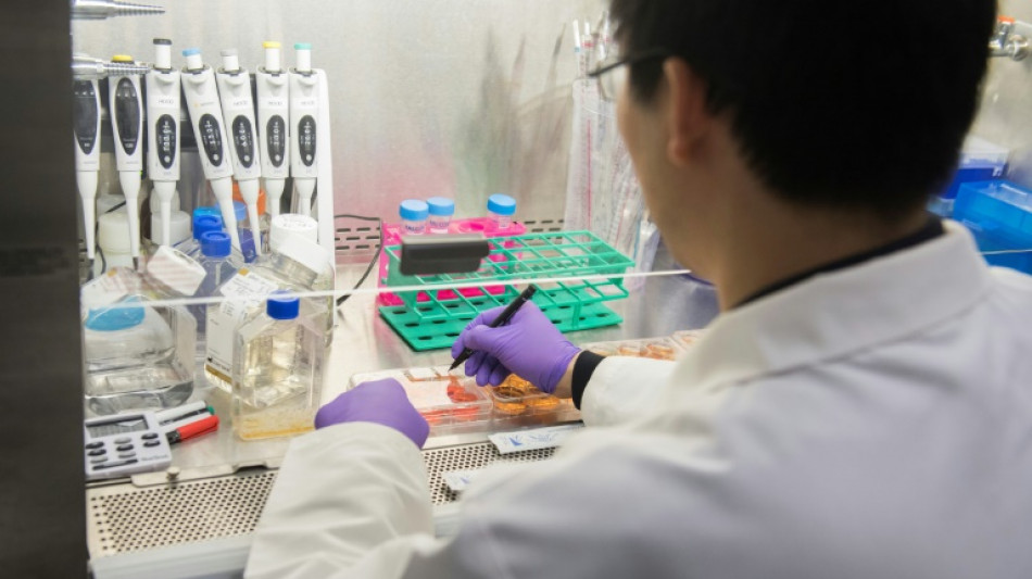 Deutsche Wissenschaftler fordern Aufnahmeprogramm für bedrängte US-Forscher