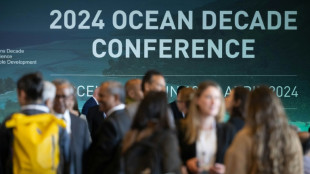 Luchar contra el calentamiento de los océanos, una necesidad urgente según los expertos
