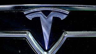 Tesla EU sales slump 52% in April: trade group