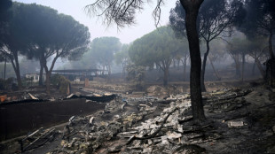 Espagne: les pompiers progressent, Sanchez voit "la lumi&egrave;re au bout du tunnel"