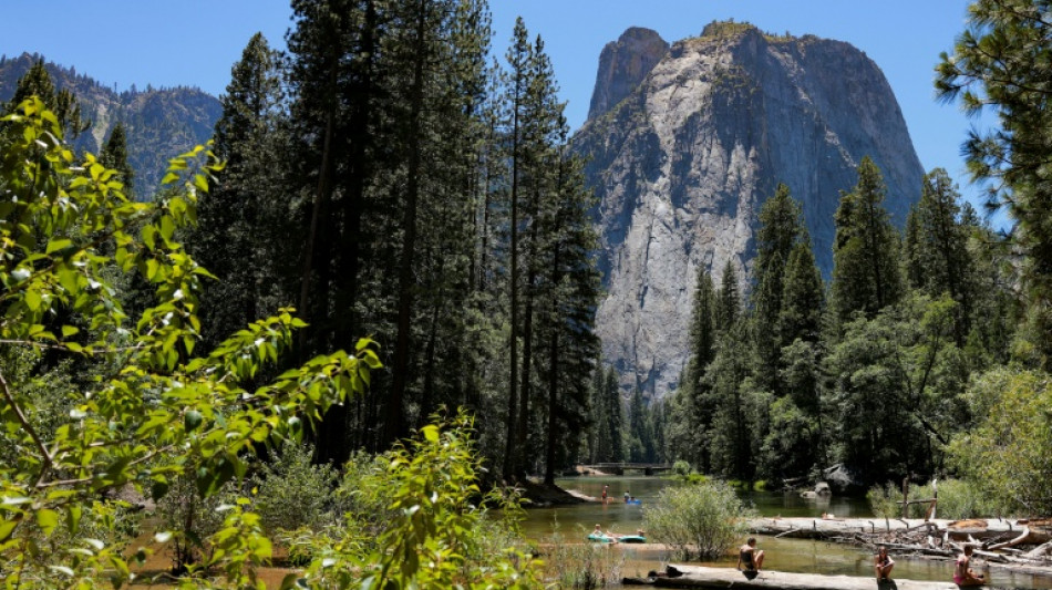  Anwalt: US-Regierung verhandelt mit Immobilienfirma &uuml;ber Verkauf von Land des Yosemite-Parks 