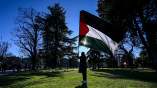 Origem e evolu&ccedil;&atilde;o da solu&ccedil;&atilde;o de dois Estados para o conflito israelense-palestino