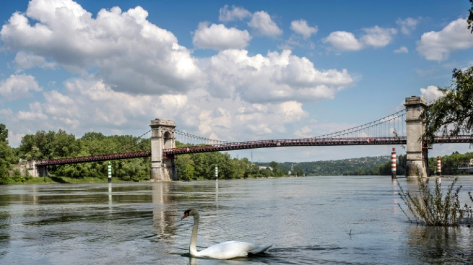 Lancement d'importants travaux pour rendre au Rh&ocirc;ne un peu de naturel