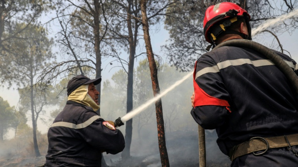  Alg&eacute;rie: six morts depuis le d&eacute;but de la vague d'incendies 