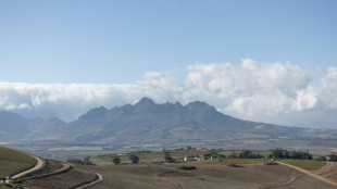 Afrique du Sud: redessiner le vignoble pour résister au réchauffement