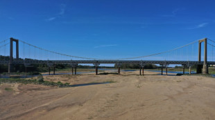 2022, année la plus chaude jamais mesurée en France (Météo-France) 