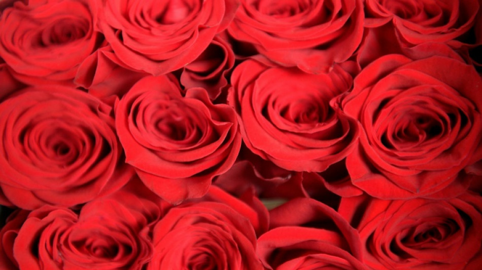 Blumenstrauß im Landratsamt Ulm löst Polizeieinsatz aus