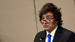 Les Etats-Unis disposés à lancer une bouée de sauvetage financière à l'Argentine de Milei 