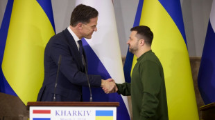 Niederlande sagen Ukraine eine Milliarde an zusätzlicher Militärhilfe zu