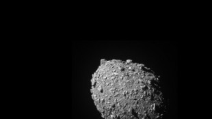 L'astéroïde Dimorphos a tout d'un tas de débris